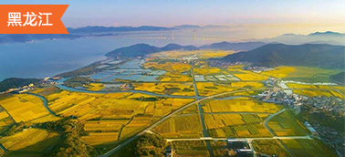 黑龙江土地整治项目造价软件