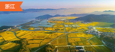 浙江土地整治项目造价软件
