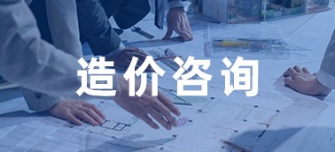 造价咨询企业管理系统