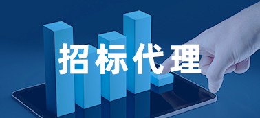 招标代理业务管理系统